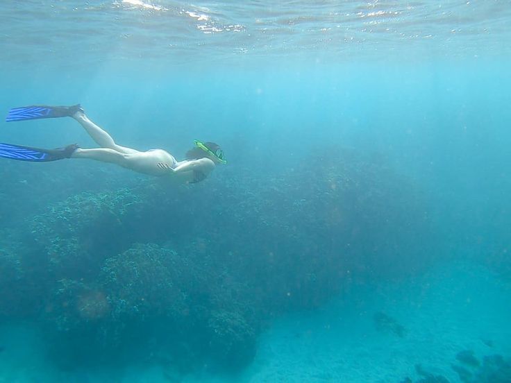 a person swimming in the water near corals