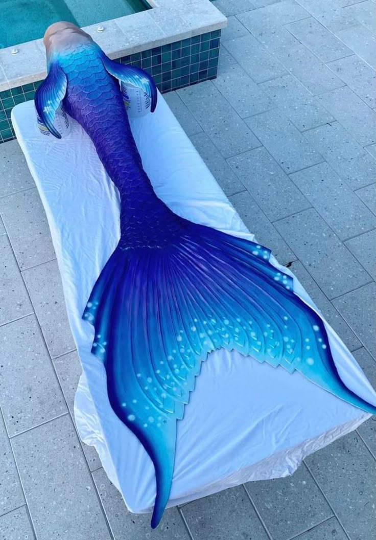 Pin by Kirschengegessen on subacuático | Fin fun mermaid tails ...