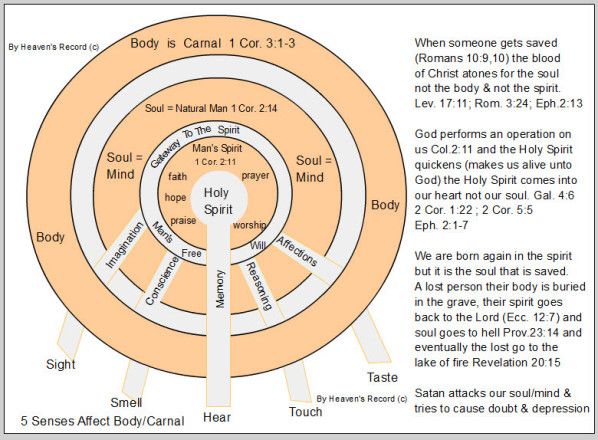 a diagram with words in the center and an image of a person's body