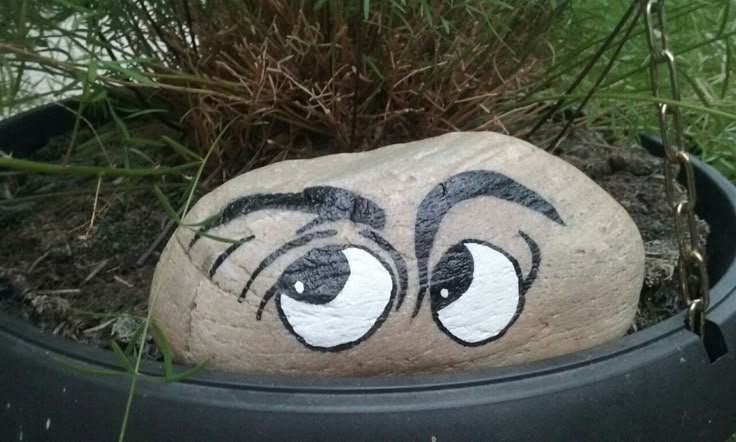 a rock with eyes painted on it sitting in a potted planter next to grass