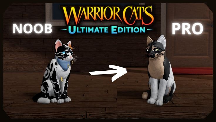 Morphs Made Easy - Master the Art of Making Morphs Now! In Warrior Cats ...