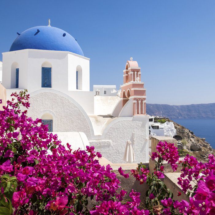 purple flowers in front of a white building with blue dome on the cliff overlooking the ocean