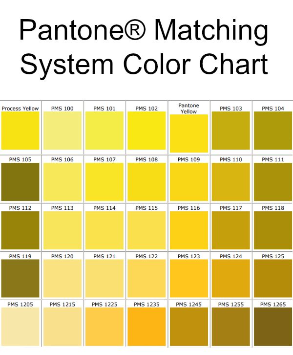 the pantone matching system color chart