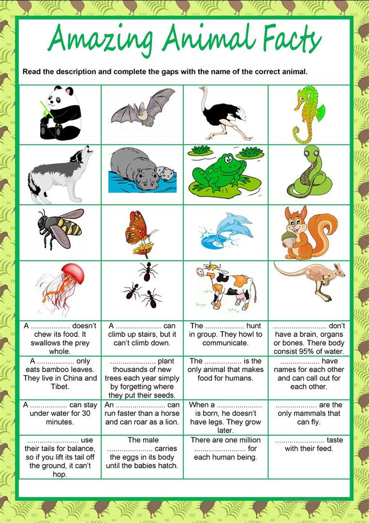 an animal fact worksheet for kids to learn about the animals and their habitats