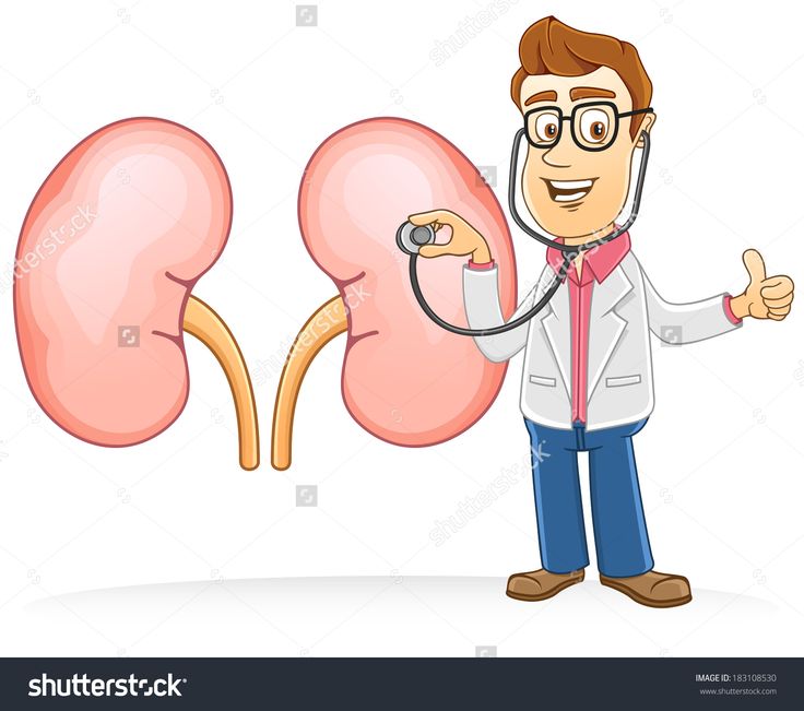 Doctor Check Kidney Using A Stethoscope Stock Vector Illustration ... Drink Desserts, Natural Antibiotic, Acid Reflux Diet, Healthy Kidneys, Kidney Function, Vitamin B12 Deficiency, Western Medicine, Cell Therapy, Natural Antibiotics