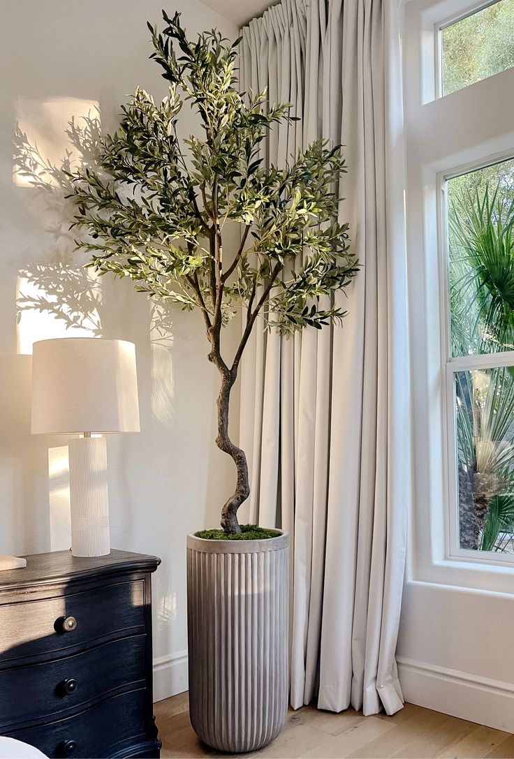 a bonsai tree in a silver vase next to a window with drapes on it