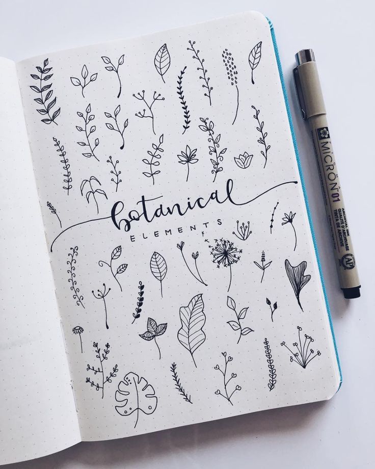 a selection of botanical elements for your planners or bullet journals.  I love the hand-drawn elements and creativity #doodle #botanicaldoodle #bujodoodle #howtodrawbotanicals Sketch Note, Doodle Notes, Doodle Art Journals, Drawing Journal, Doodle Art Drawing, Bullet Journal Aesthetic, Easy Doodle Art, Bullet Journal Writing, Bullet Journal Art