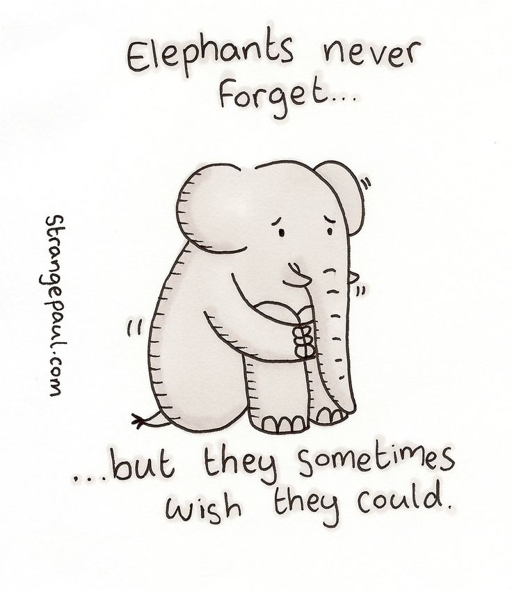 an elephant saying elephants never forget forget but they sometimes wish they could