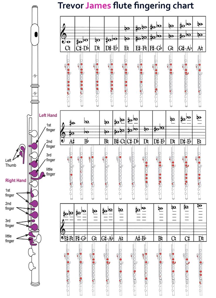 the trevo james flute fingering chart