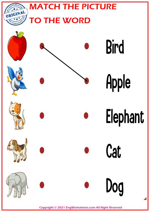 Match the Picture to the Word Worksheet for Children