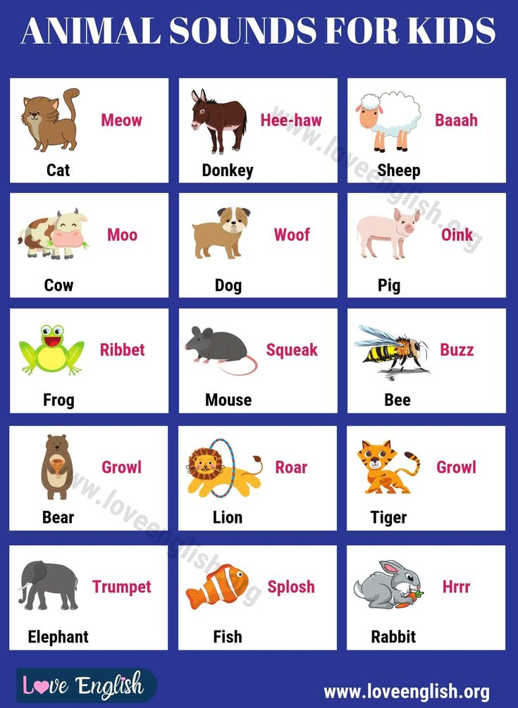 the animal sounds for kids to learn