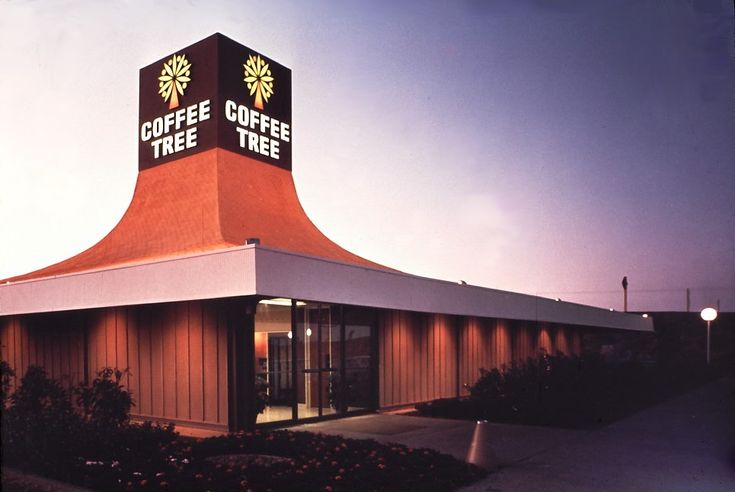 the coffee tree is located in front of an empty building at dusk with its lights on