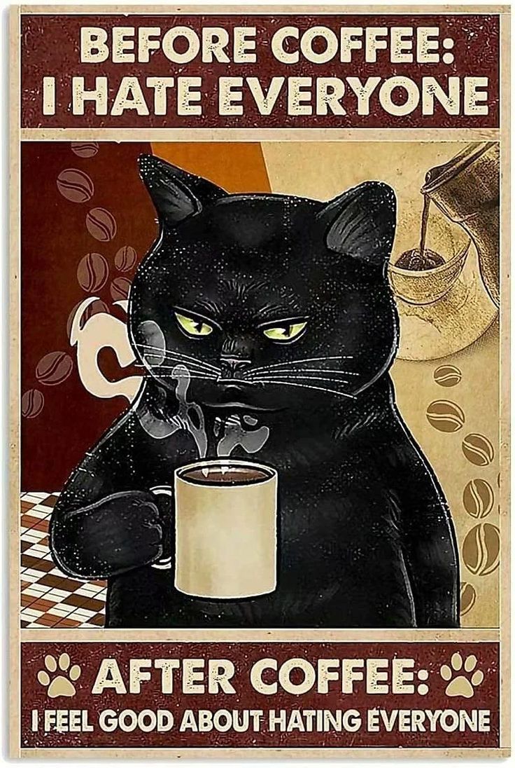 I Hate Everyone, Hate Everyone, Coffee Poster, Cat Wall Art, Simple Acrylic Paintings, A Black Cat, Cat Posters, Cat Quotes, Cat Coffee