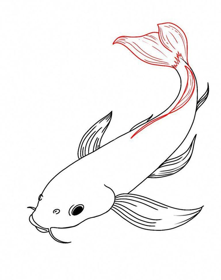 a drawing of a koi fish