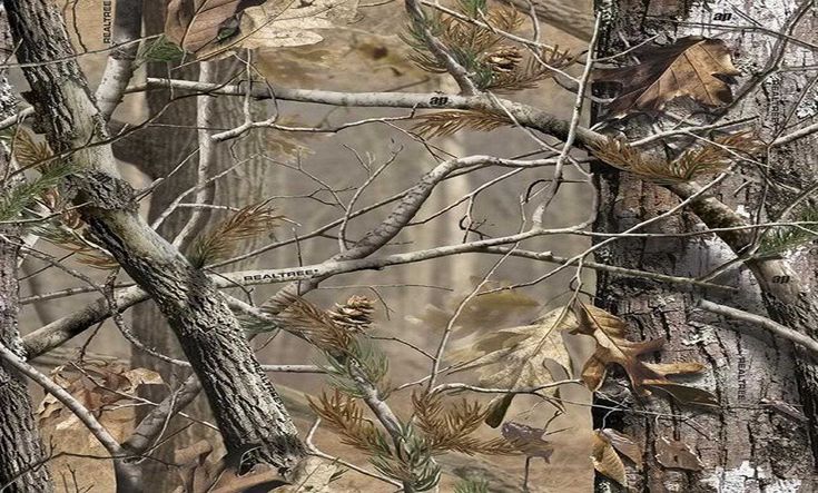 the realtree ap camo wallpaper has been added to an area with trees