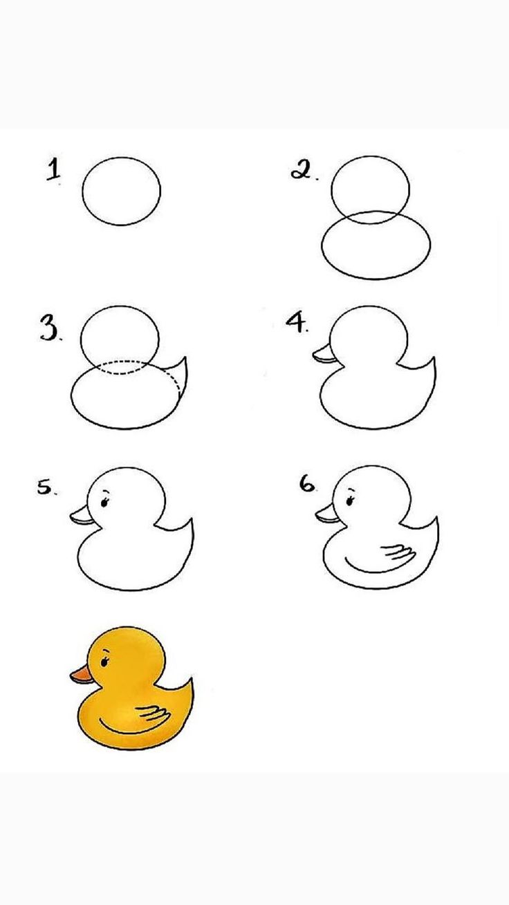 How to draw a duck?