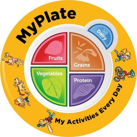 Kids MyPlate Plate Plastic - Nutrition Education Store Exclusive Design - 1 Plate With Free Shipping Nutrition Videos, Nutrition Poster, Nutrition School, Nutrition For Kids, Kids Vegetables, Nutrition Activities, Healthy Plate, Child Nutrition, Nutrition Certification