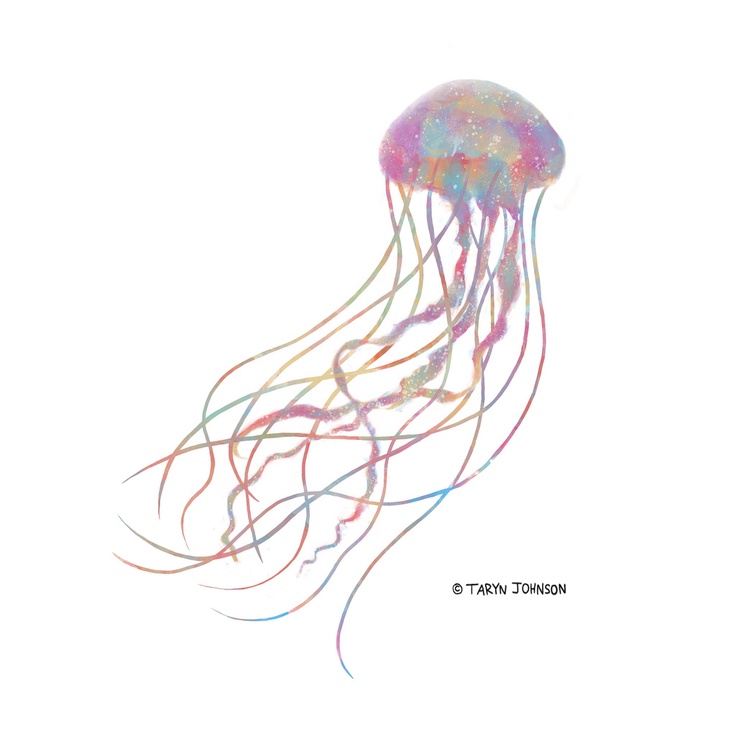 a drawing of a jellyfish on a white background