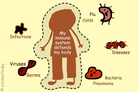 immune system for kids - Google Search What Is Hiv, Milk Facts, Hiv Aids Awareness, Increase Bone Density, Aids Awareness, Calcium Rich Foods, Hiv Aids, Boost Immune System, Autoimmune Disorder