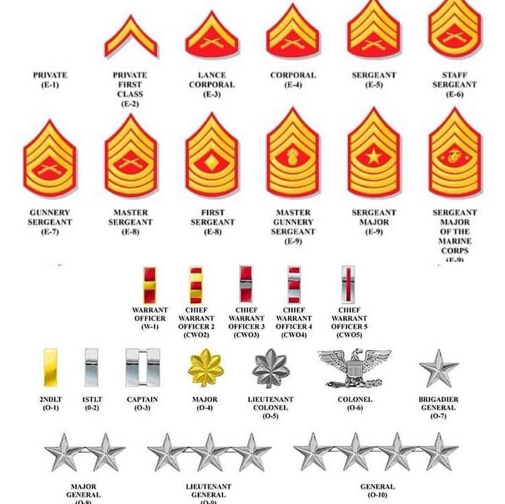 Sgt Aguilar Marines on Instagram: “Reposted from @sgt_padilla (@get_regrann) -  Marine Corps rank structure.  As a Marine moves up the ladder, his or her responsibility and…” Marine Ranks Chart, Marine Corps Rank Structure, Marine Ranks, Usmc Ranks, Marine Corps Mom, Navy Ranks, Marine Corps Ranks, Military Terms, Marine Corps Humor