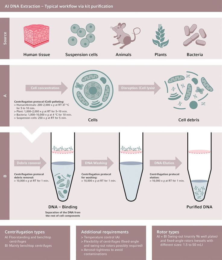 an info sheet describing the different types of plants and animals