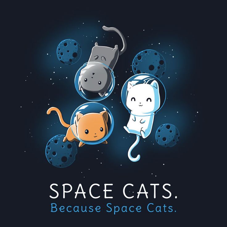 space cats because space cats are cute