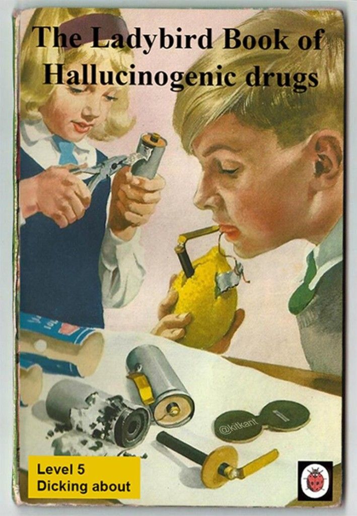 Getting your kids ready to be high school Drug Dealers. Twisted Books, Book Parody, Fake Books, Bizarre Books, Funny Books, Books Images, Book Titles, Ladybird Books, Science Books