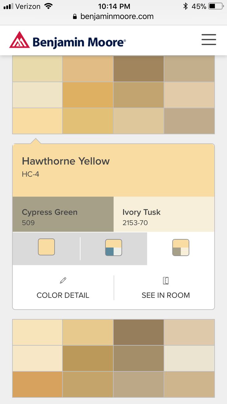 the color scheme for an iphone phone is shown in this screenshote screen shot