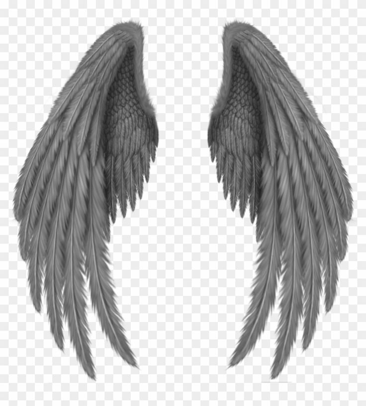 Find hd Black Wings - Black Angel Wings Png, Transparent  free png  image. Download and use it for your non-co… | Angel wings png, Wings png,  Black angel wings