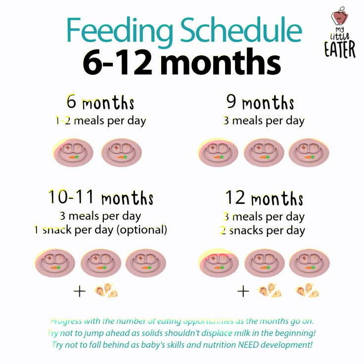 Feeding Schedules (6-12 months) - My Little Eater - Feel confident ...