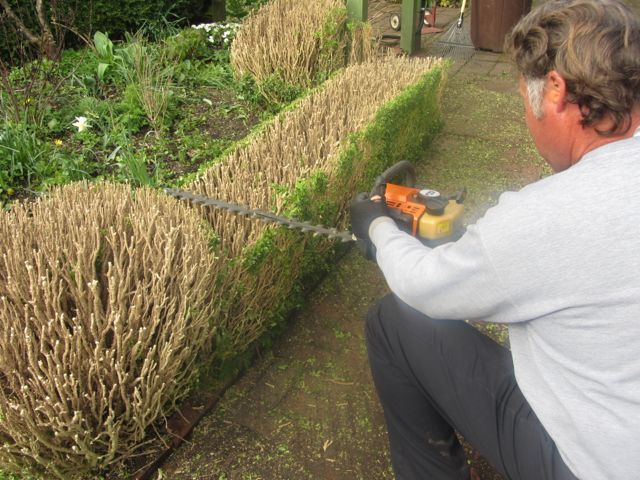 a man using a chainsaw to cut bushes