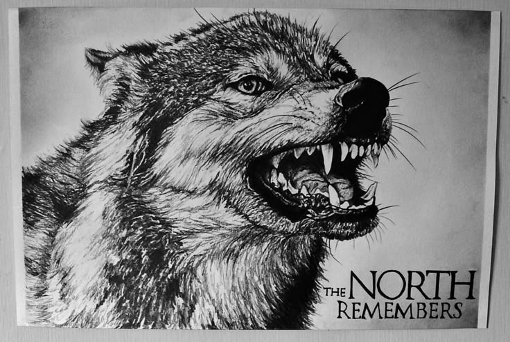 Dire Wolf - Game of Thrones by laurenmarwood on DeviantArt Dessin Game ...