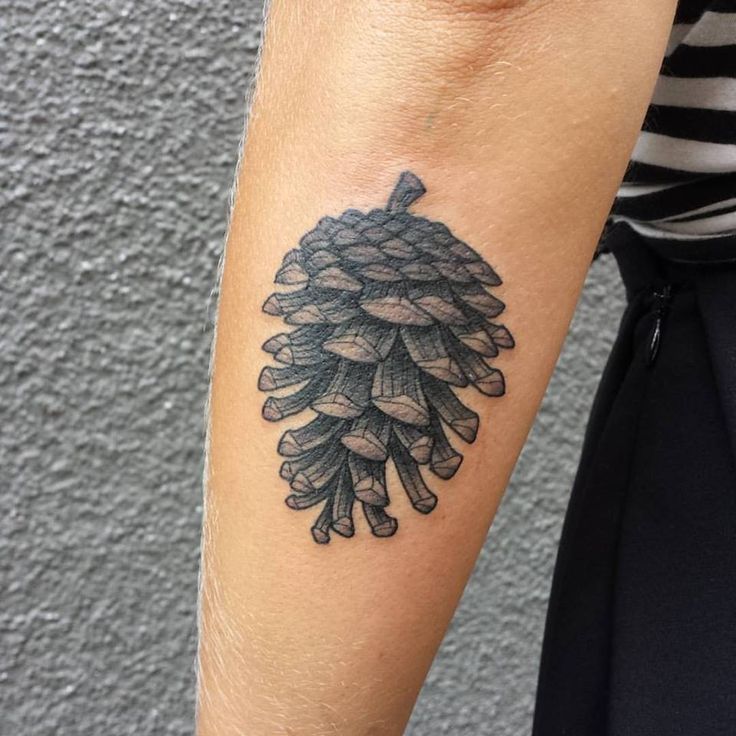 a pine cone tattoo on the arm