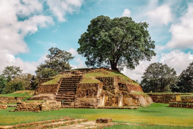 an ancient structure with steps and a tree in the center on a sunny day, surrounded by green grass