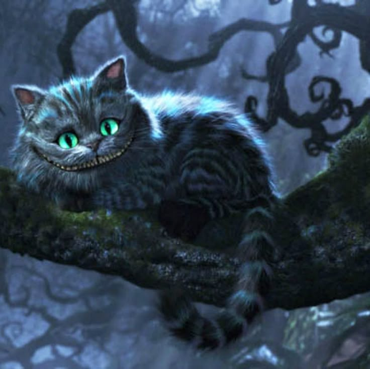 a gray cat with green eyes sitting on a tree branch in the dark forest,