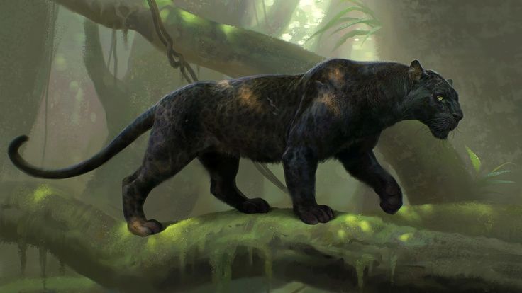 an artist's rendering of a black panther walking in the jungle with trees and moss