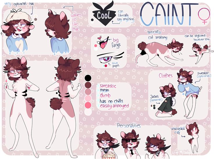 an image of a cat character sheet