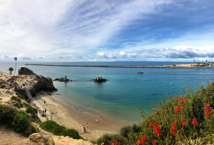 people are walking on the beach by the water's edge, with red flowers in the foreground