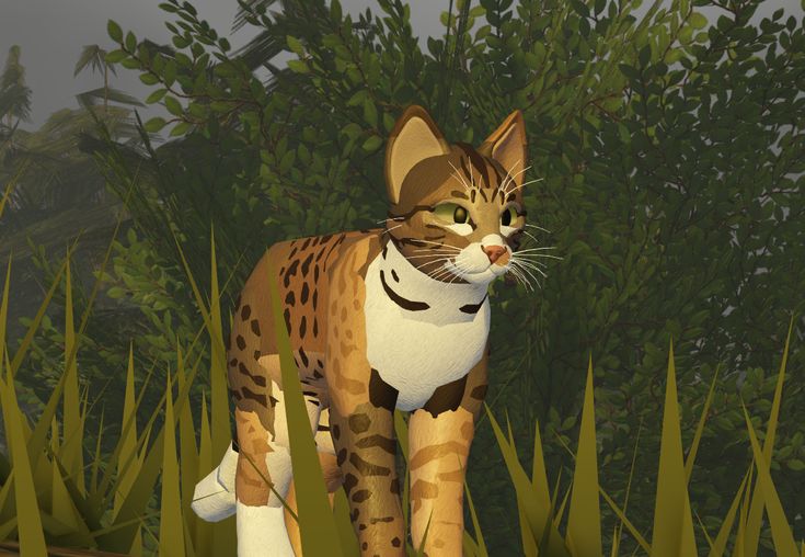 torbie morph in 2024 | Warrior cat, Warrior cat oc, Warrior cats