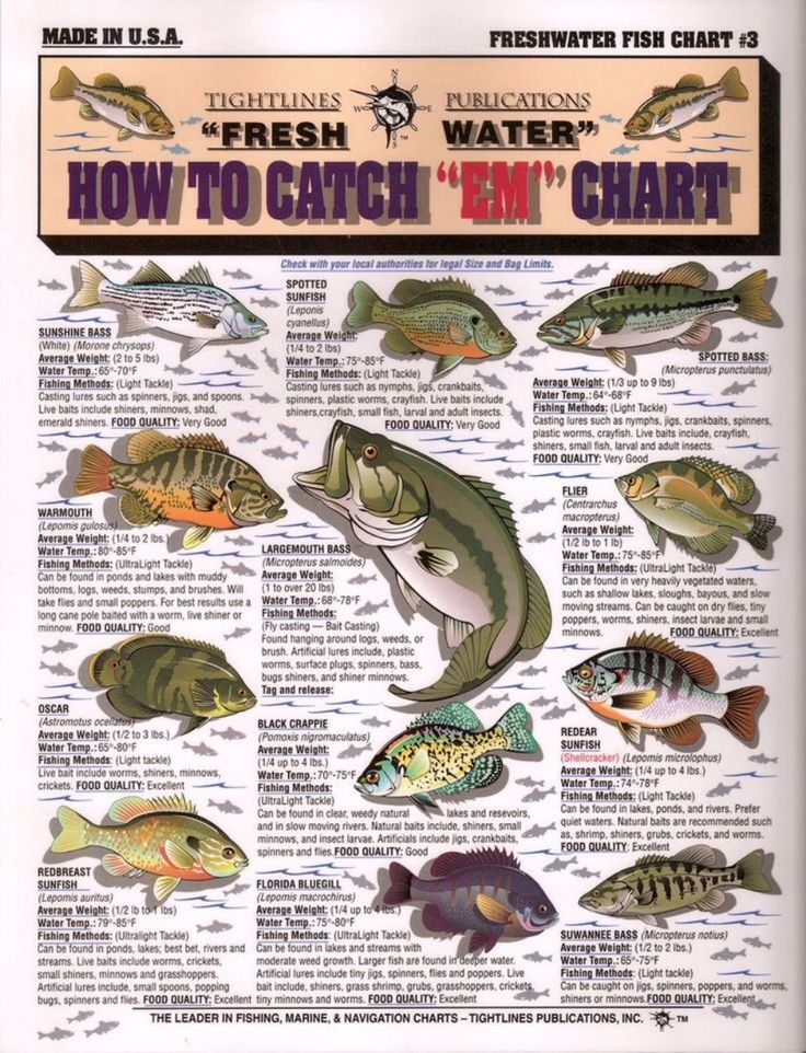 Alabama Freshwater Fish Identification Chart