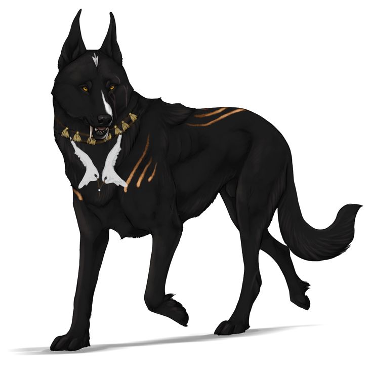 What if... (Arenak) by Zeldienne on DeviantArt | Canine art, Dog ...