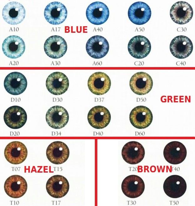 Pin by Jessica GA on Genética | Eye color chart, Cat eye colors, Color ...