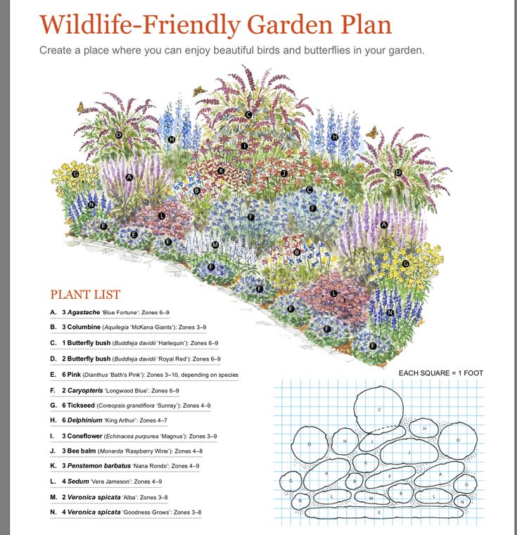 a garden plan with flowers and plants in it