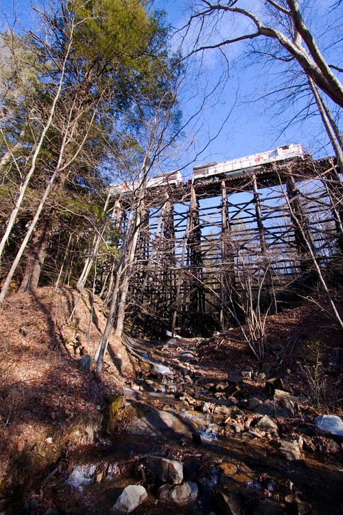 a train is going over a bridge in the woods with rocks and trees around it