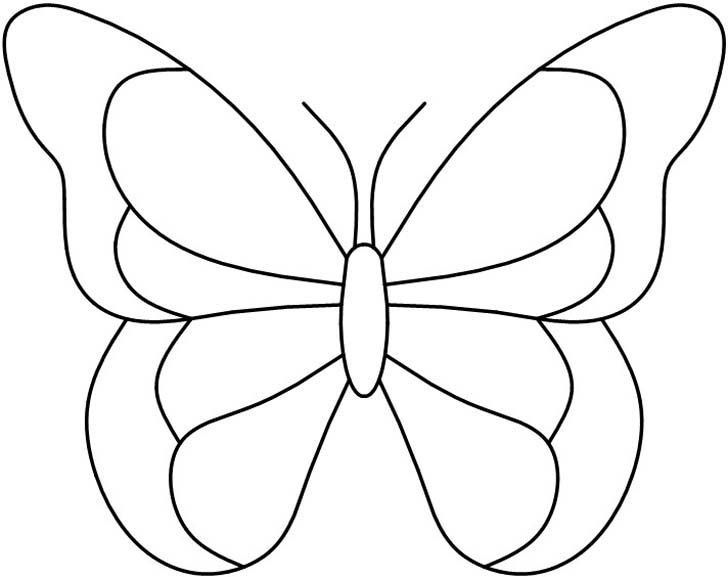 the outline of a butterfly with wings