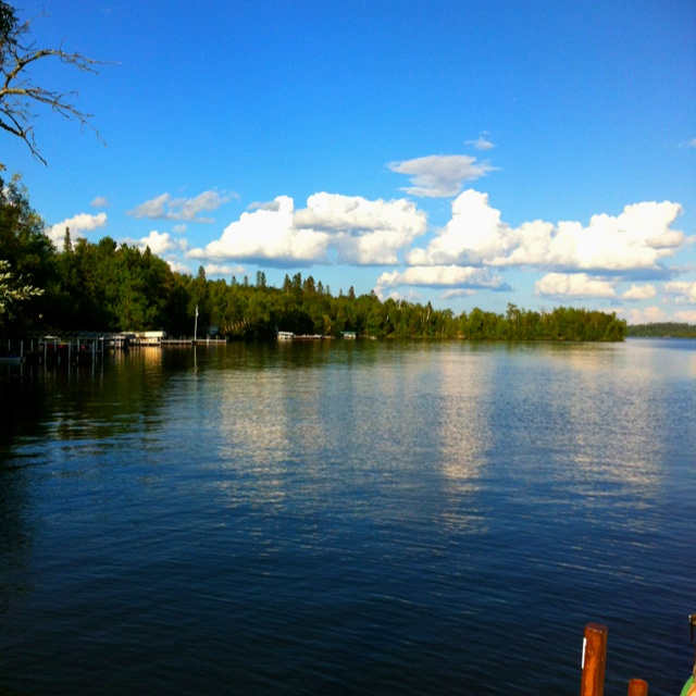 a body of water surrounded by trees under a blue sky with white clouds in the distance