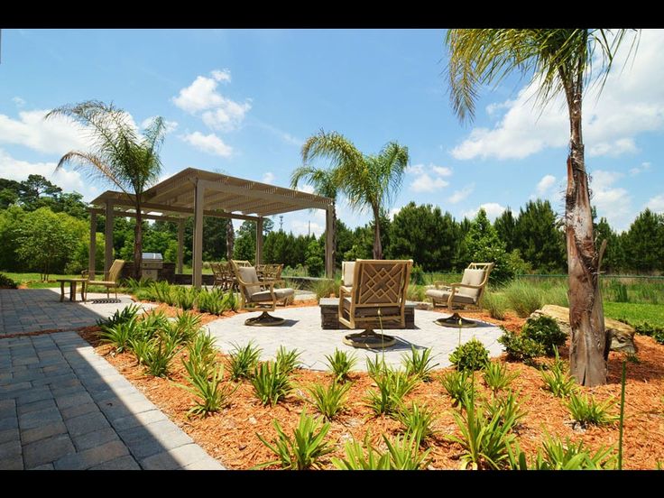 an outdoor garden with lots of green grass