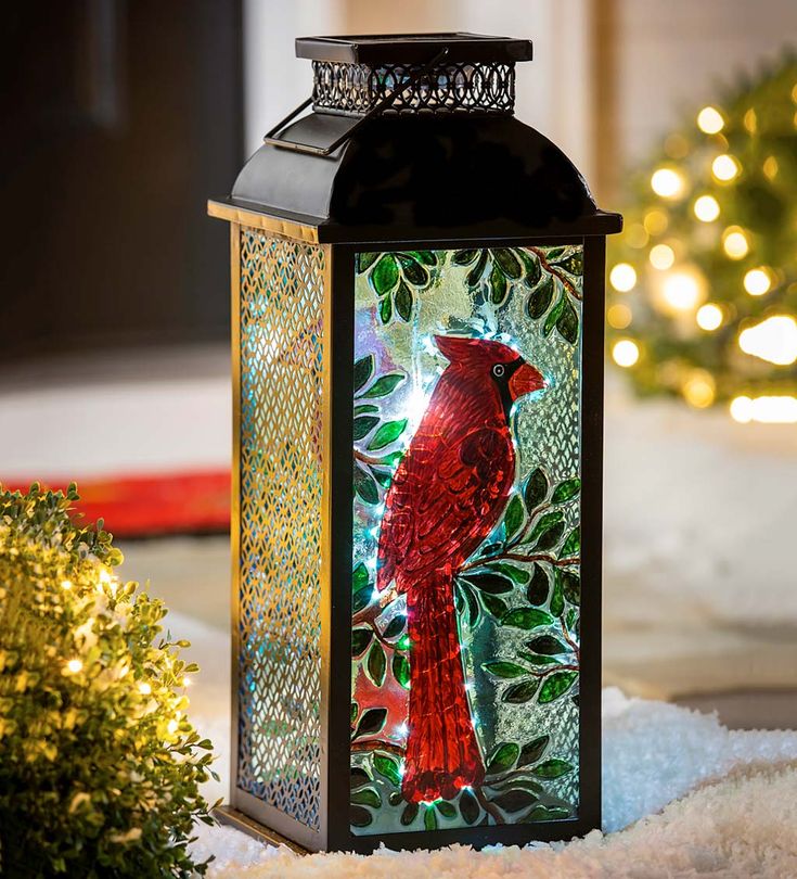 a lantern with a red bird on it sitting in the snow next to a christmas tree