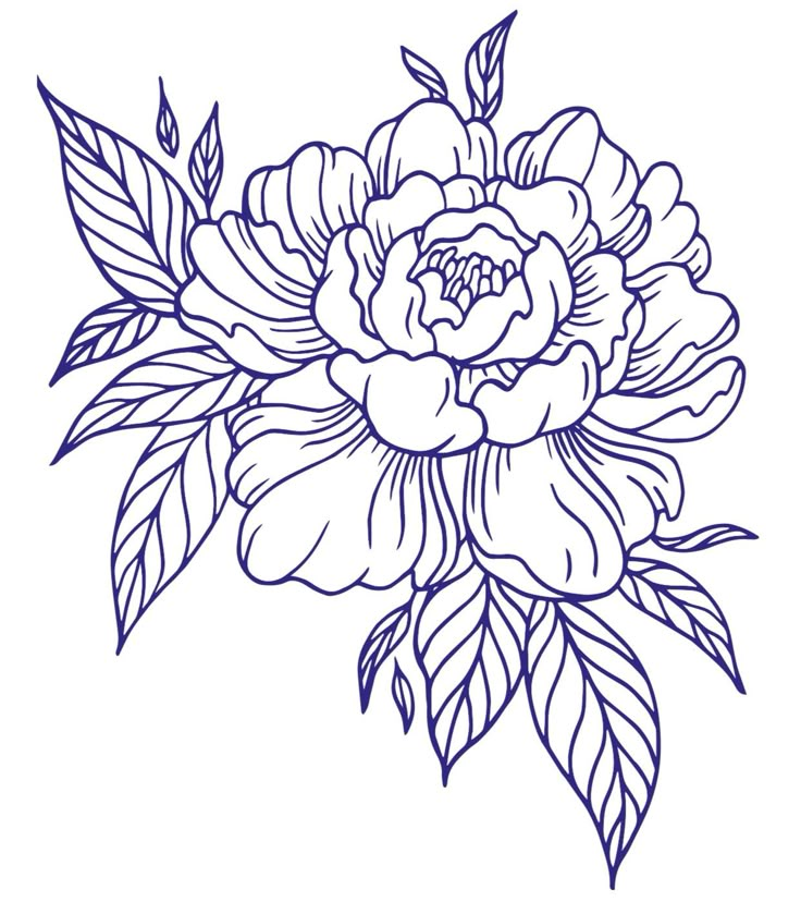 a drawing of a flower with leaves on it