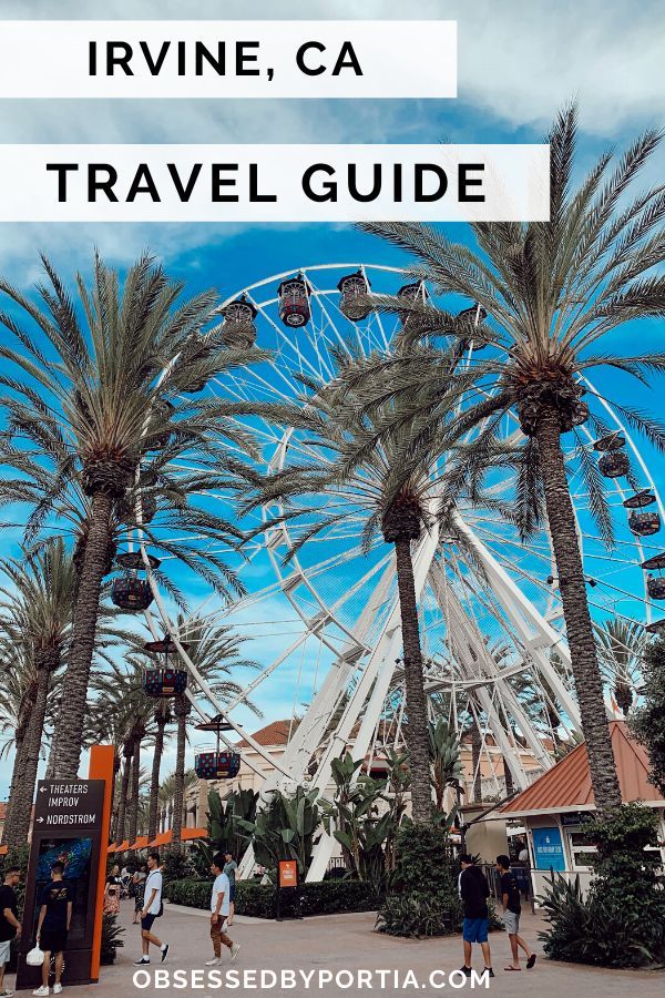 palm trees and ferris wheel with text overlay that reads, irving ca travel guide